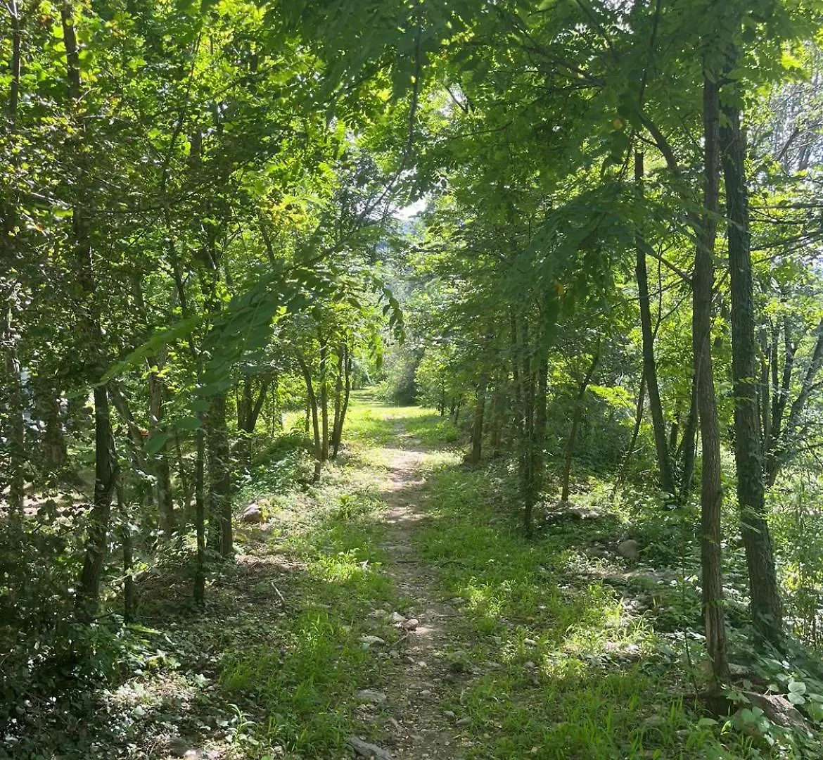 Camping Youpendi Tournon-sur-Rhone