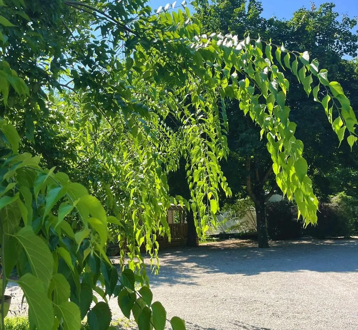 Campsite Camping Youpendi Tournon-sur-Rhone