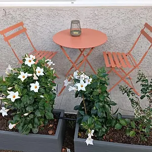  Appartement Le Jardin
